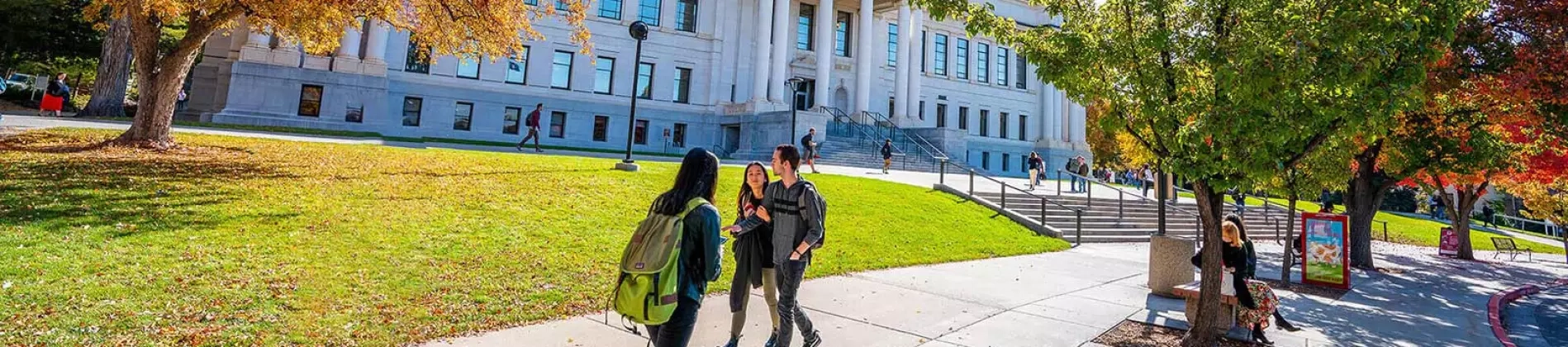 Physical Therapy DPT